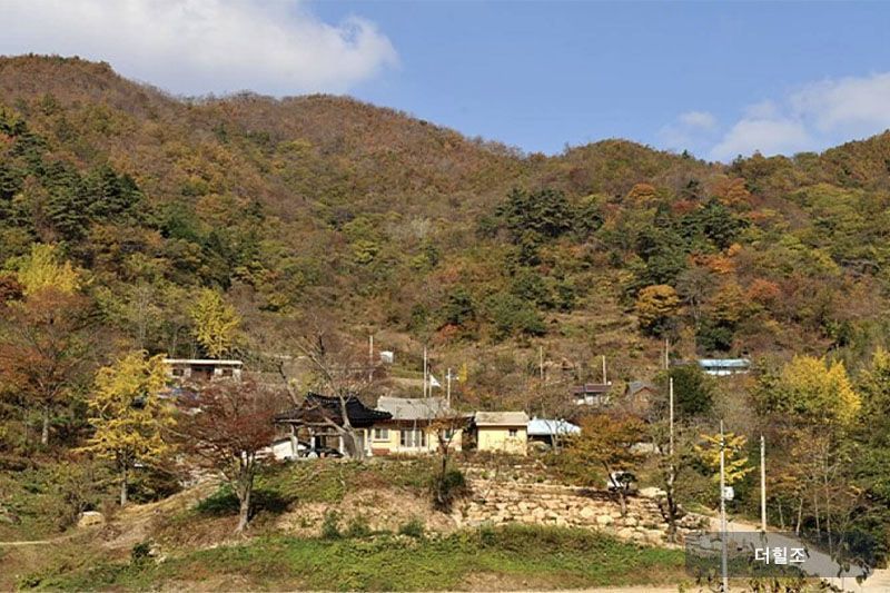 전라남도 장흥군 유치면 조양리 한치마을 정자와 회관