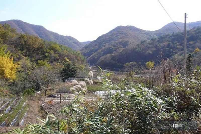 전라남도 장흥군 유치면 조양리 인암마을 가을 풍경