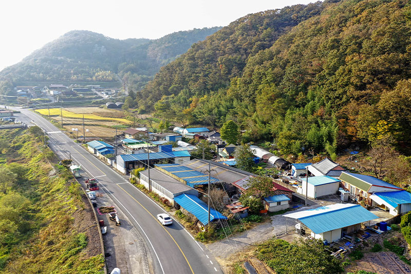전라남도 장흥군 유치면 반월리 장주마을 전경